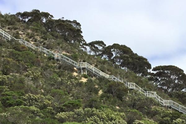 kangaroo-island-boardwalk-and-statirs