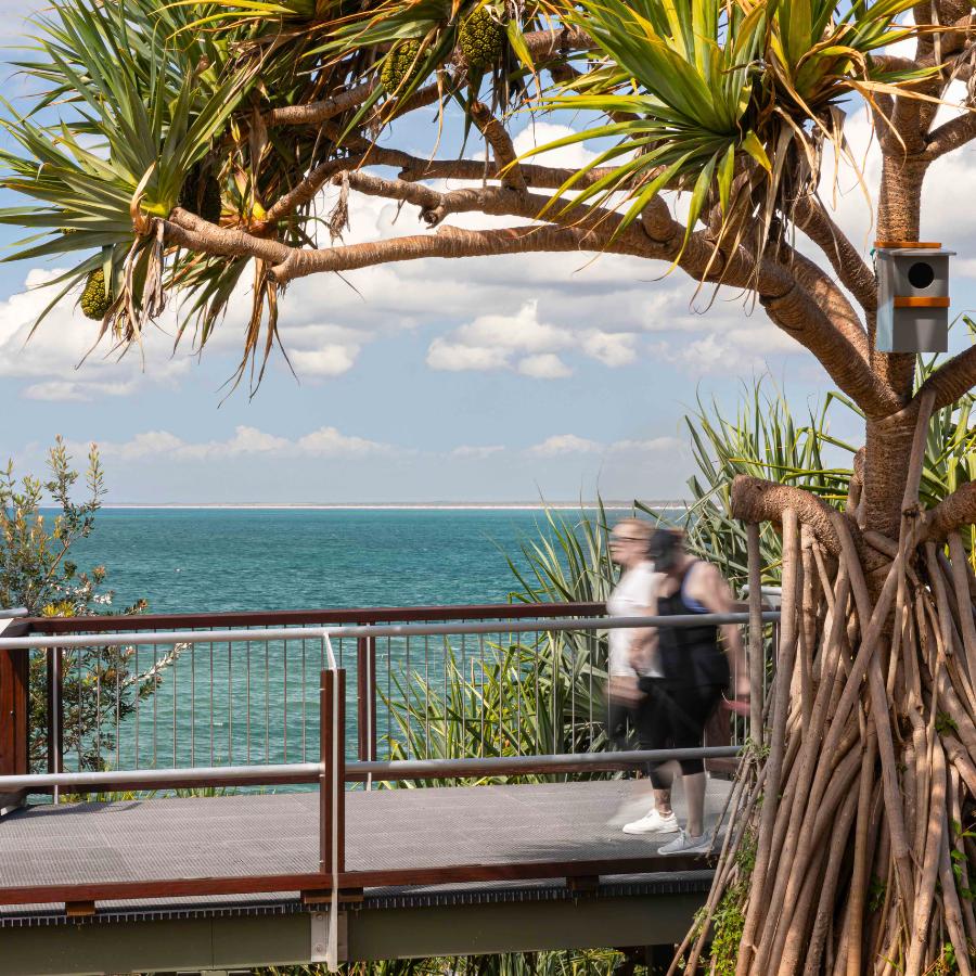 From Concept to Completion: How Community Input Shaped Caloundra Headlands Boardwalk